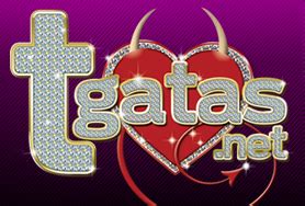 t gatas lisboa|Tgatas Portugal (@tgatasportugal) • Instagram photos and videos